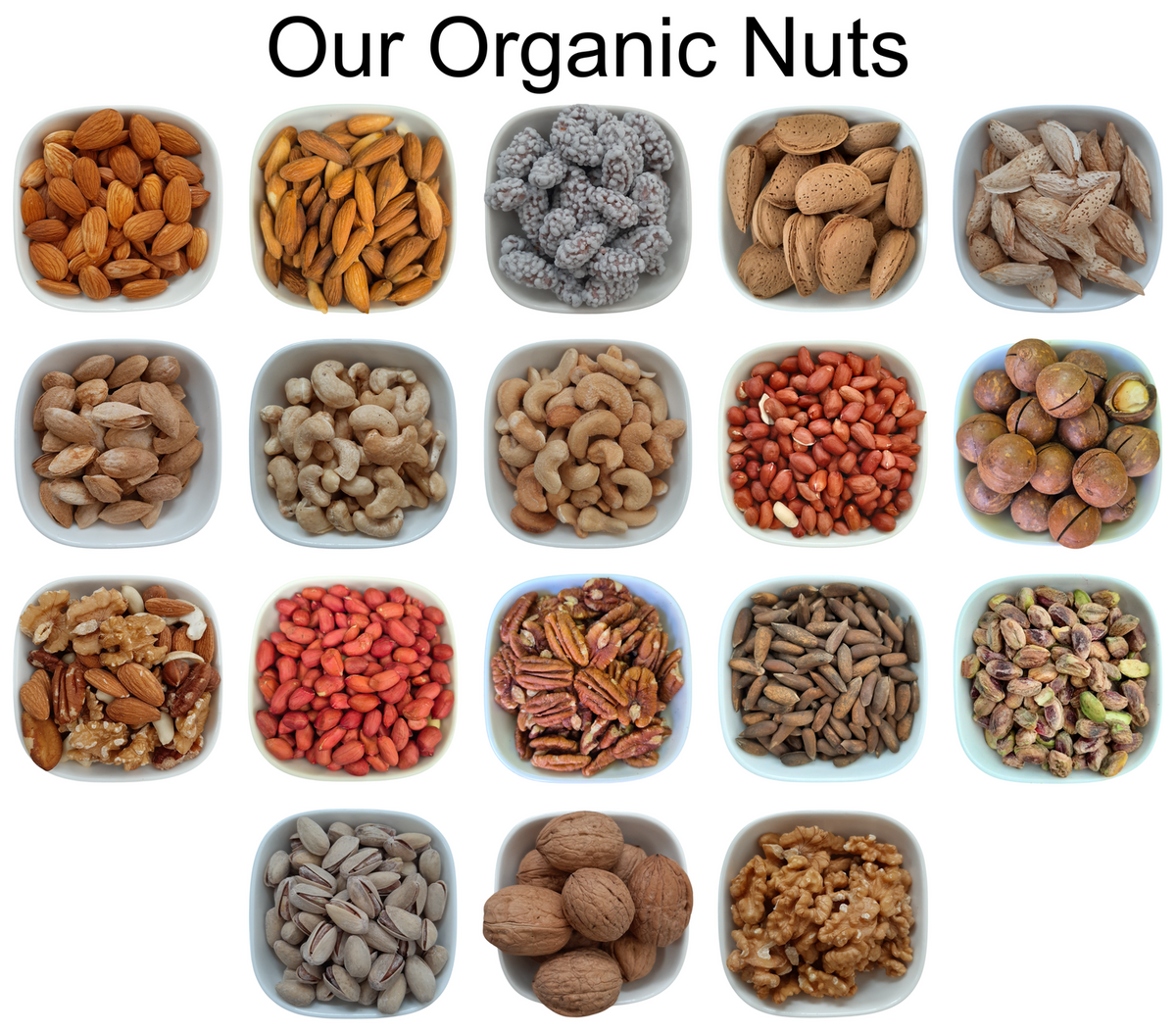 Dried Kiwi – Natural Organic Premium-quality + Free sample!