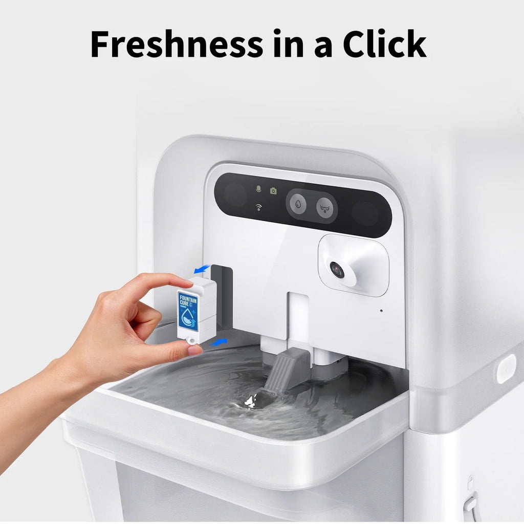 PRE-SALE：Fountain Cube C