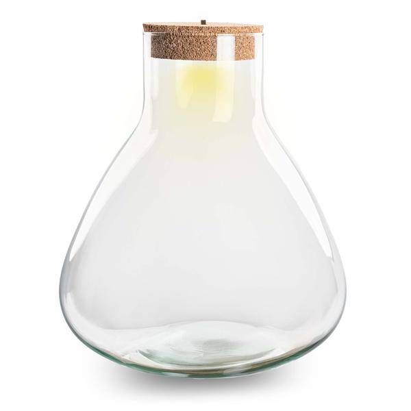 Flaschengarten ↕32cm – pflegeleichter Flaschengarten im Glas, Pflanzen Terrarium für Wohnzimmer & Büro