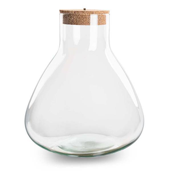 Flaschengarten ↕32cm – pflegeleichter Flaschengarten im Glas, Pflanzen Terrarium für Wohnzimmer & Büro