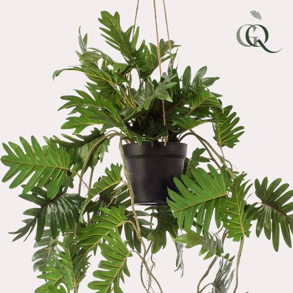Kunstpflanze Philodendron – Hängepflanze 80cm – Täuschend echt & pflegefrei – Dekorative Kunst – Zimmerpflanze für Wohnzimmer, Büro & kleine Räume