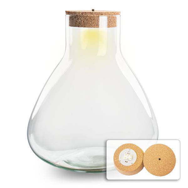 Flaschengarten ↕32cm – pflegeleichter Flaschengarten im Glas, Pflanzen Terrarium für Wohnzimmer & Büro